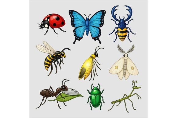 Reviewing the Colorful Cartoon Insects Collection